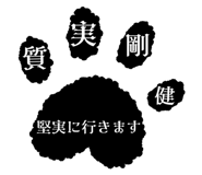 856805153