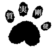 856805154