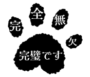 856805155