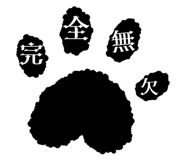 856805156