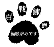 856805157
