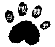 856805158