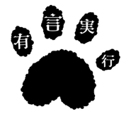 856805162
