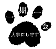 856805163