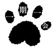 856805164