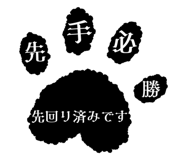 856805167