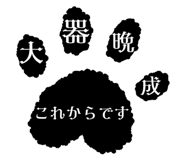 856805169