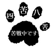 856805171