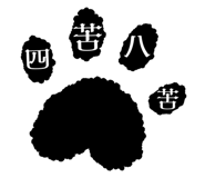 856805172
