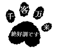 856805173