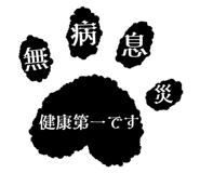 856805175