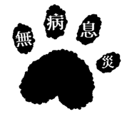 856805176