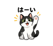 856805193