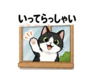 856805196