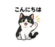 856805200