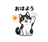 856805201