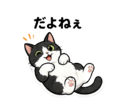 856805202