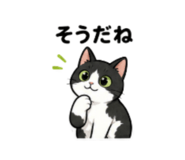 856805203