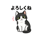 856805205
