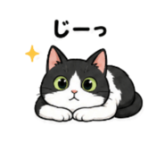 856805209