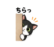 856805210