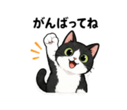 856805214