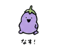 856805228