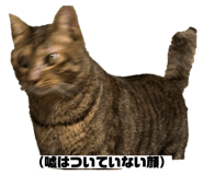 856805286
