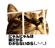 856805289