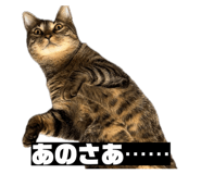 856805297