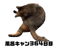 856805305