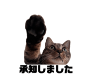856805307