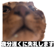 856805311