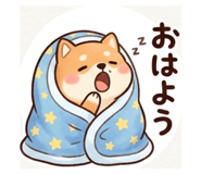 856805385
