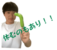 856805566