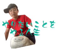 856805576