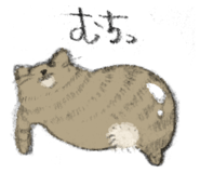 856805578