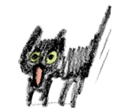 856805580