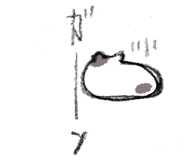 856805581