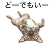 856805600