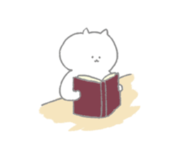 8568057