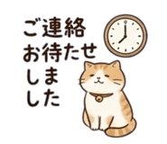 856805943