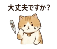 856805952
