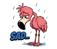 856806585