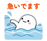 856807238