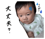 856808096