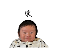 856808099