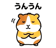 856808685
