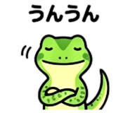 856808694