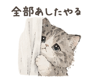 856809064